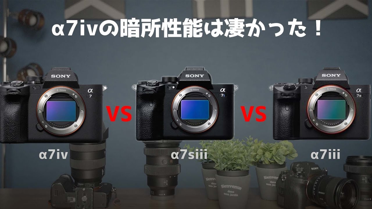 SONY a7||| a7siii 撮影回数:1366回｜その他