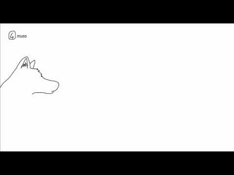 Come Disegnare Un Lupo In Soli 9 Passaggi D Youtube