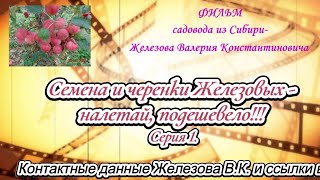 Семена и черенки Железовых  налетай, подешевело!!! Серия 1.