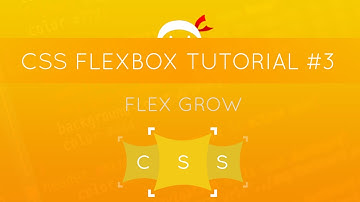 CSS Flexbox Tutorial #3 - Flex Grow