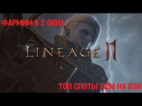 Lineage 2M-фарм в 2 окна, полная настройка!