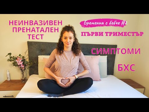 Първи триместър - Симптоми - Прегледи - Неинвазивен пренатален тест - Бременна с бебче #2