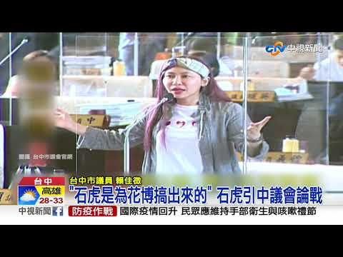 石虎自治條例過關! 藍議員嗆"石虎是虛擬的"成焦點│中視新聞 20200710