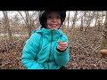 Searching And Exploring A Civil War Connecticut Militia Camp