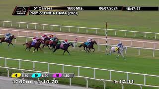 Vidéo de la course PMU PRIX LINDA DAMA (2023)