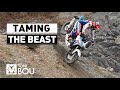 Taming  the beast by toni bou 