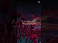 ومن تاب وعمل صالحا فإنه يتوب إلى الله ❤️ تلاوة روحانية جميلة خاشعة ❤️ #قران_كريم ❤️