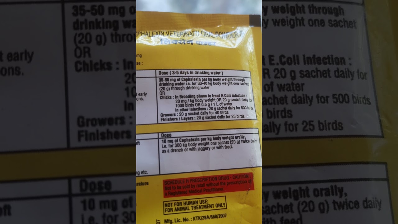 CEPHALEXN VETERNERY ORAL IP/Lixen powder.....👍👍👍