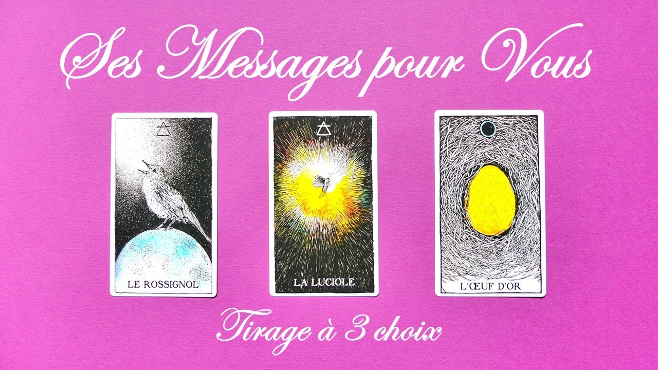 Ce qu'il/elle aimerait vous dire en ce moment - Tirage à 3 choix 🐦⭐🥚