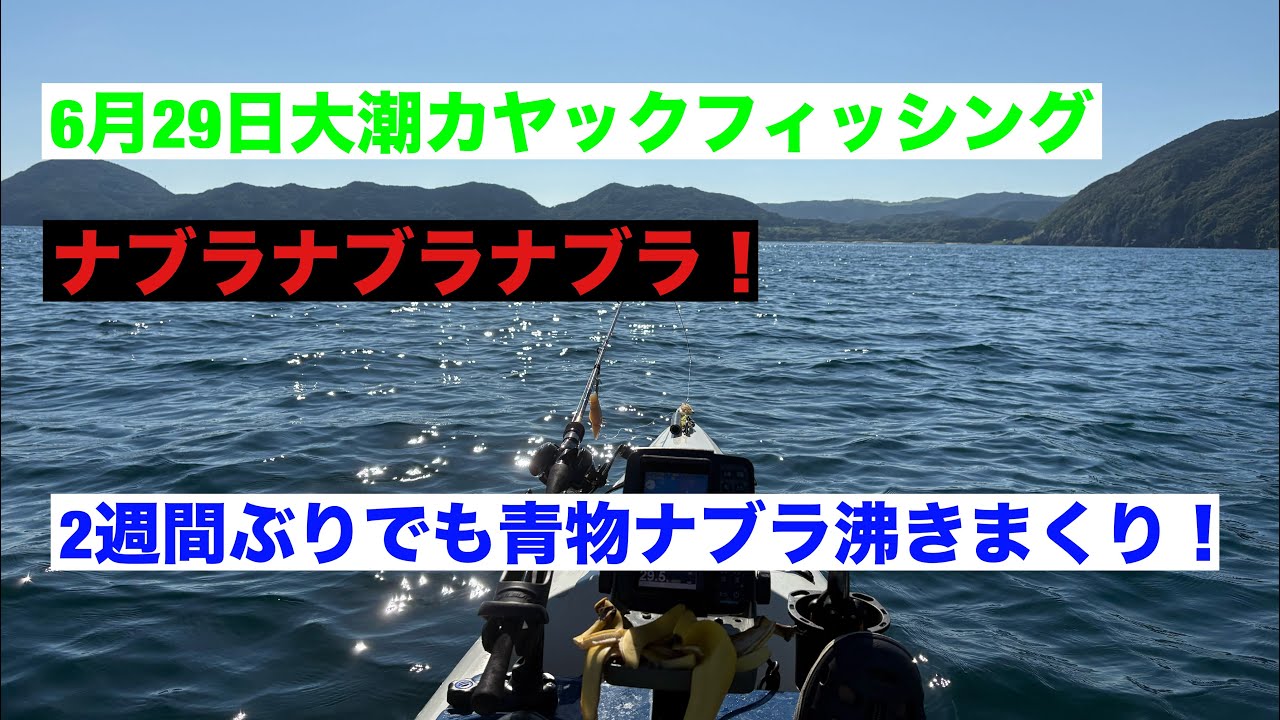 kaioダックダイブグッドベイトラピードララペン春マサトッ Chasing Bait Balls] June 29th Spring Tide Kayak Fishing - YouTube