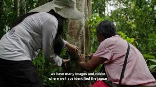 Promoting harmonious coexistence with wildlife in catlleranching families in Madre de Dios