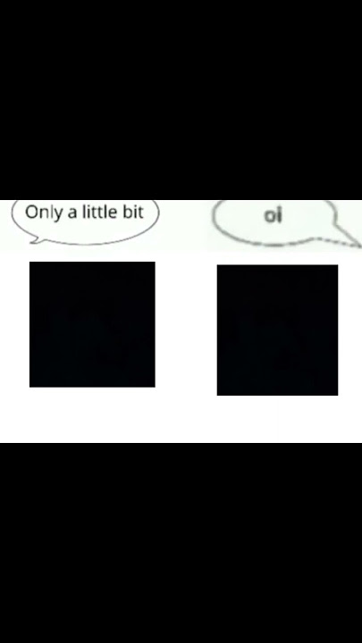 the real lyrics of forget-pogo