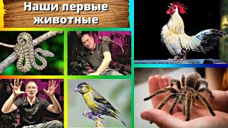 Наши первые животные. У кого какие?