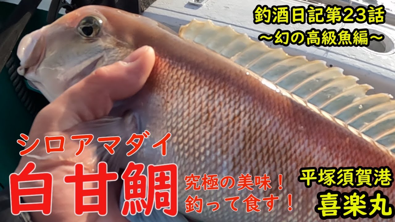 Fishing and Sake Diary Episode 23 [White tilefish]: The ultimate