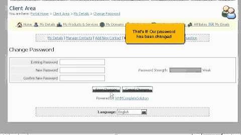 How to change your password in the client portal