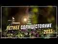 Солнцеворот | Как изменить жизнь к лучшему в день летнего солнцестояния | Наталия Милагра