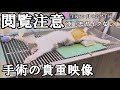 猫の去勢手術の貴重映像。麻酔から縫合までの去勢手術の流れを撮影しました。