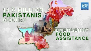 14.6m Pakistanis require emergency food assistance