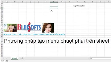 Lập trình Excel VBA Tạo menu phải trên sheet - bluesofts.net