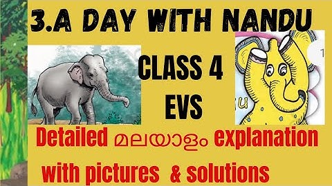 Class 4 EVS/ chapter-3/ A day with Nandu/ malayalam lesson explanation with pictures & answers