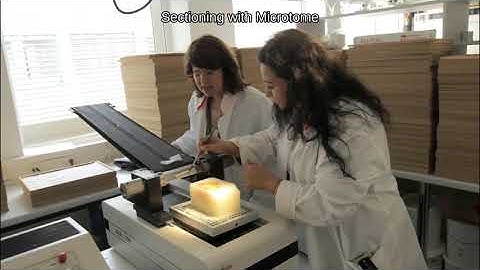 BigBrain Project: HIBALL Inauguration