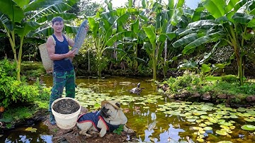 CEO Leaves The City, Survives By Fishing For Cook And Go To The Market To Sell, Farm Life.