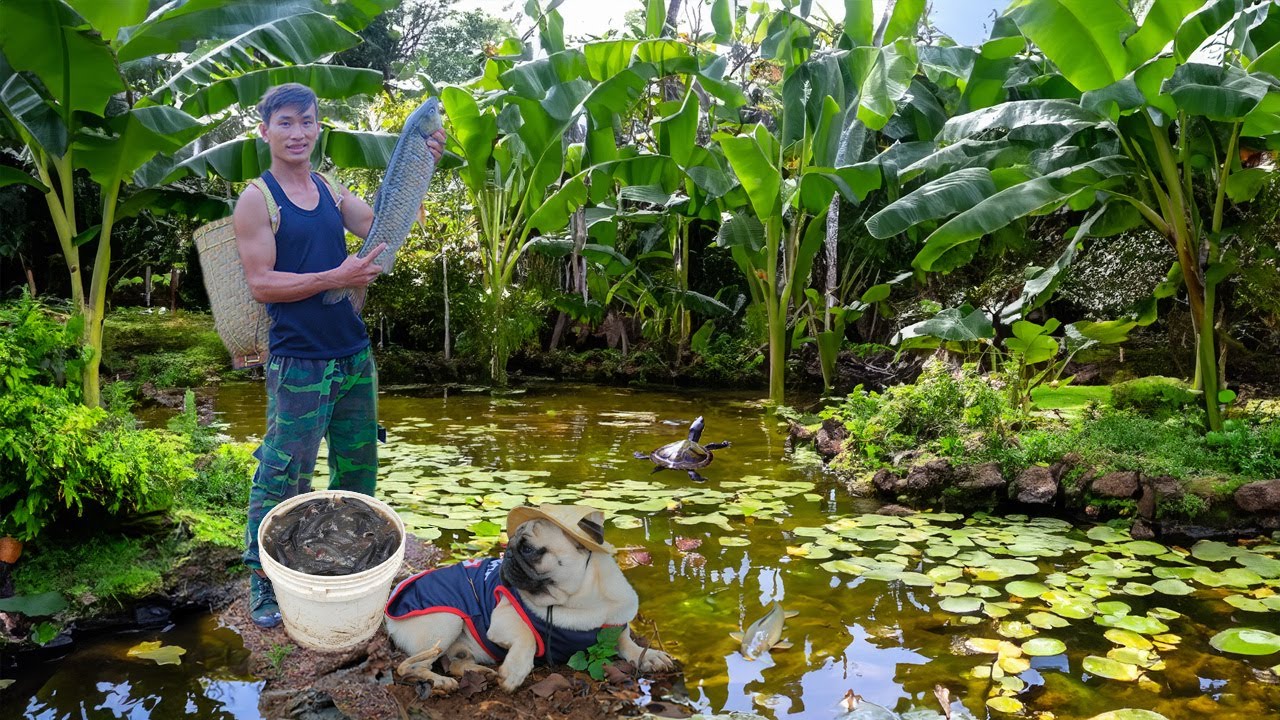 CEO Leaves The City, Survives By Fishing For Cook And Go To The Market To Sell, Farm Life.