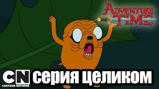 Мультфильм Время приключений Колья Часть 2 Всё остаётся серия целиком Cartoon Network