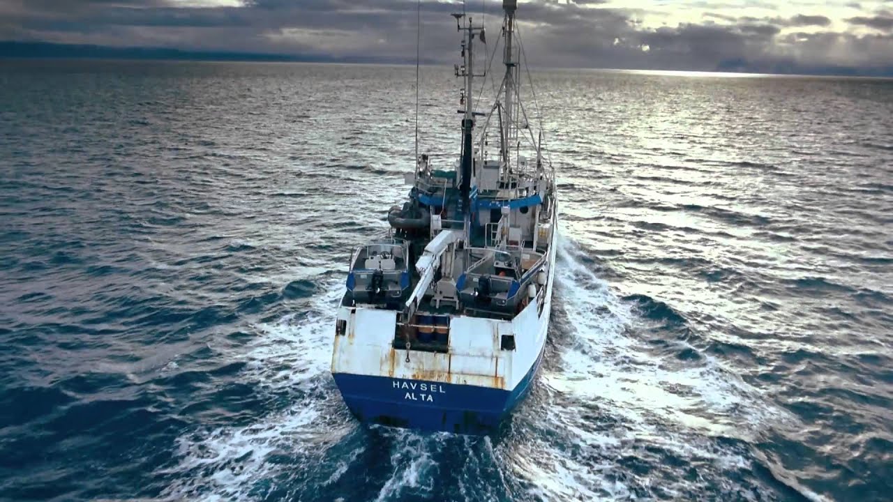 To The Arctic - The Challenges of Filming in the Arctic