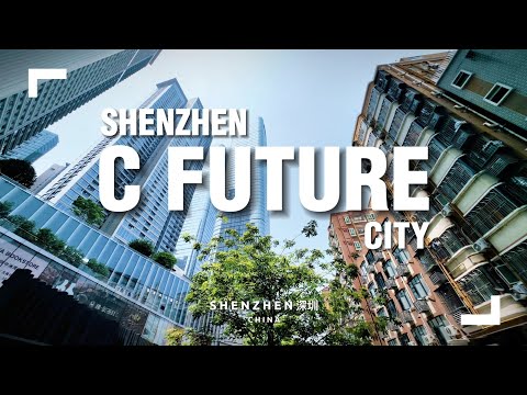 C Future City: Art, Collectibles, teamLab & Tsutaya Bookstore