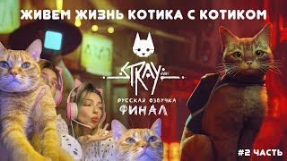 STRAY. ФИНАЛ. Прохождение игры с котиком в 2-х частях.