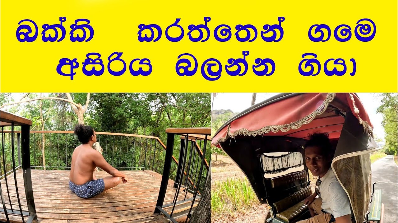 උදේ අසිරිය වින්දා 😍 දඹුල්ලේ  ආවොත් නවතින්න Eco village ❤ @travelwithlahiru කරත්තෙන් රවුමක් ❤😍