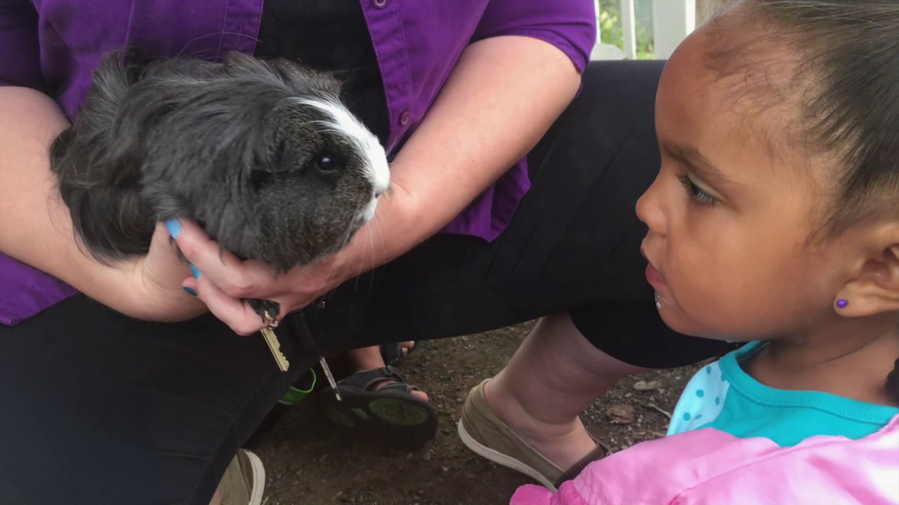 Denver Zoo provides access of informal science education to people of all walks of life.