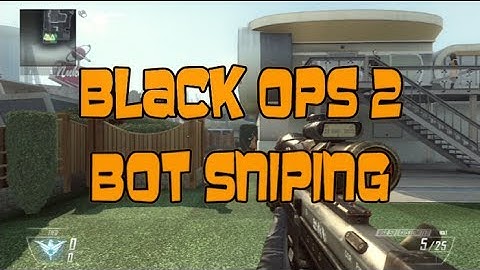 Black Ops 2 Bot Sniping Custom Games