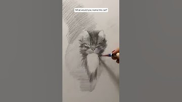 Realistic Cat Drawing - How to draw a cat by pencil #shorts #cat #art #draw #drawing #painting