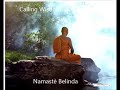 Karunesh   Calling Wisdom  - 1 Hour Meditation and Relaxing