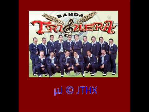 Banda Tigrera - Camisa Manchada
