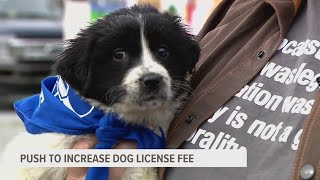 Pa. sees renewed push to raise dog licensing fee, which hasn't changed since 1996