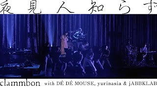 「夜見人知らず -Live- Feb 23th,2023 at TOKYO GARDEN THEATER」clammbon with DÉ DÉ MOUSE, yurinasia & jABBKLAB