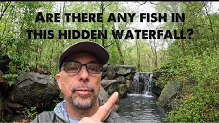 Are there any fish in these HIDDEN ponds and WATERFALLS in Central Park, NYC! KAREN encounter too!