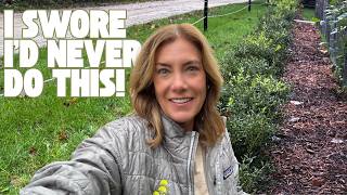 Planting a boxwood ... fence?