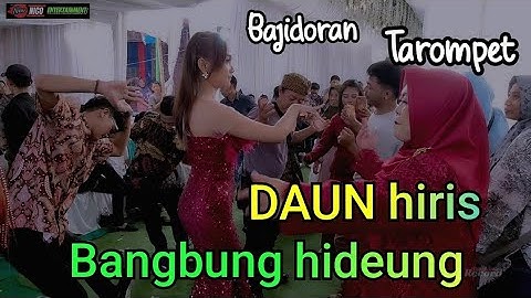 DAUN HIRIS versi TAROMPET tanjidor Naek BANGBUNG HIDEUNG  BAJIDORAN // NICO ENTERTAINMENT