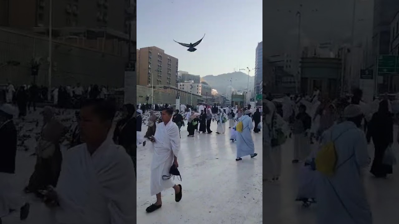 Abdul Aziz Gate അബ്ദുൽ അസിസ് ഗെയ്റ്റ് നെ കുറിച്ച് പൂപ്പലം സഖാഫി സംസാരിക്കുന്നു