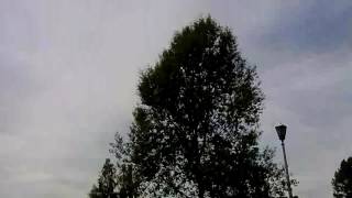 Фестиваль красок Холли в Междуреченске
