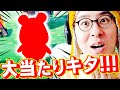 【セト森】Part 6 まったりライブ♪住民ガチャで大当たり！？最後のひとりを探しに離島にGO!!!