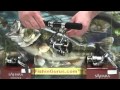 Shimano Sahara FE Spinning Reel Review by FishinGurus Fishing Reels Tips Fishing Store Chicago