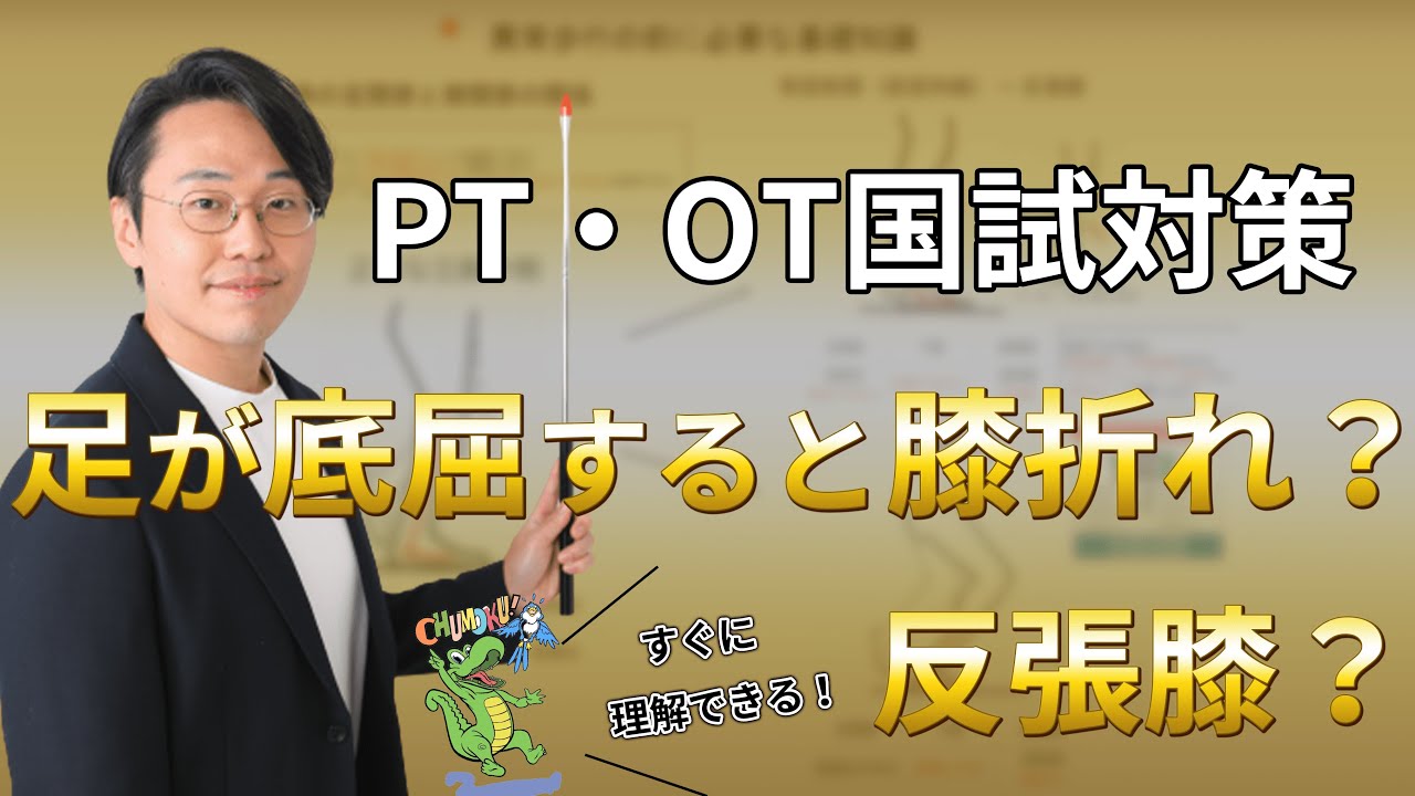 映像授業の塾をランキング形式で徹底的に ...
