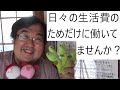 幸せな小金持ちについて