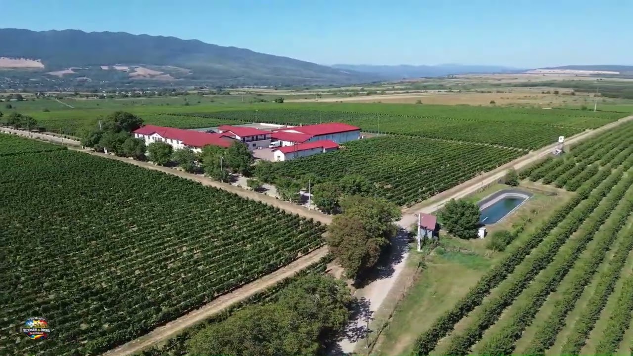 Domeniile Panciu din Drona - Cinematic Vineyard Aerial | Golden Hour Romania Travel Relax