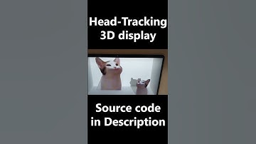 Head Tracking 3D Display #shorts